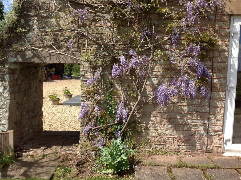 The Coach House Bed & Breakfast Ross-on-Wye Exterior photo